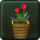 Lesser Icon Hearthbloom