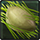 [Event] Wormwood Dish