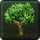 Airu Tree
