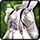 Moon Rabbit's Picnic (Odella Recovery)