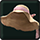 Beach Hat