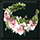 [Event] Wildflower Crown (7 days)