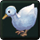 [Event] Flying Duck